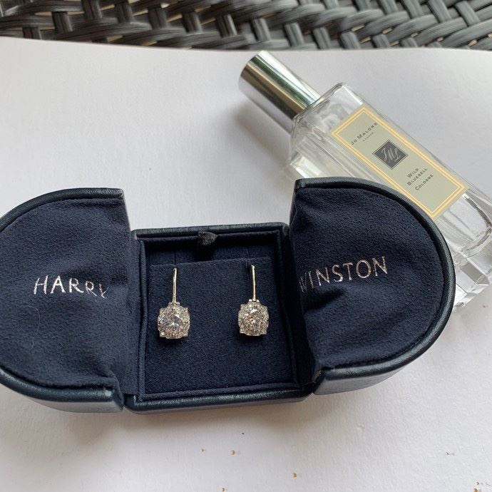 Harry Winston Earrings